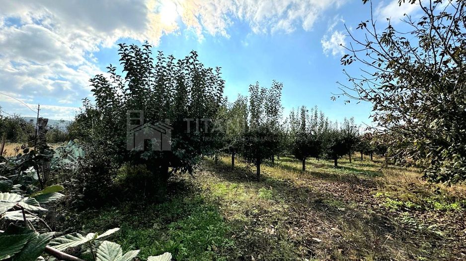 Livada+gradina, teren intravilan 2902mp, Damienesti-Bacau, comision 0 - Poză 13