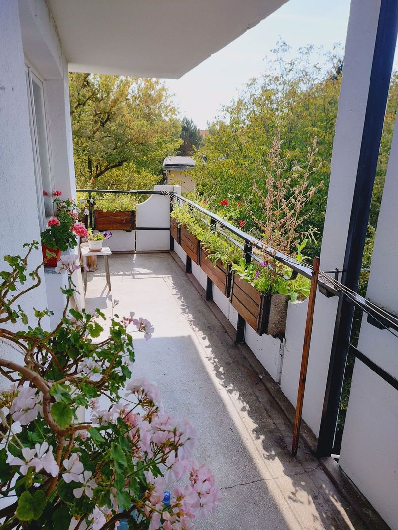 Apartament 3 camere zona UMF/Spitale - Poză 1