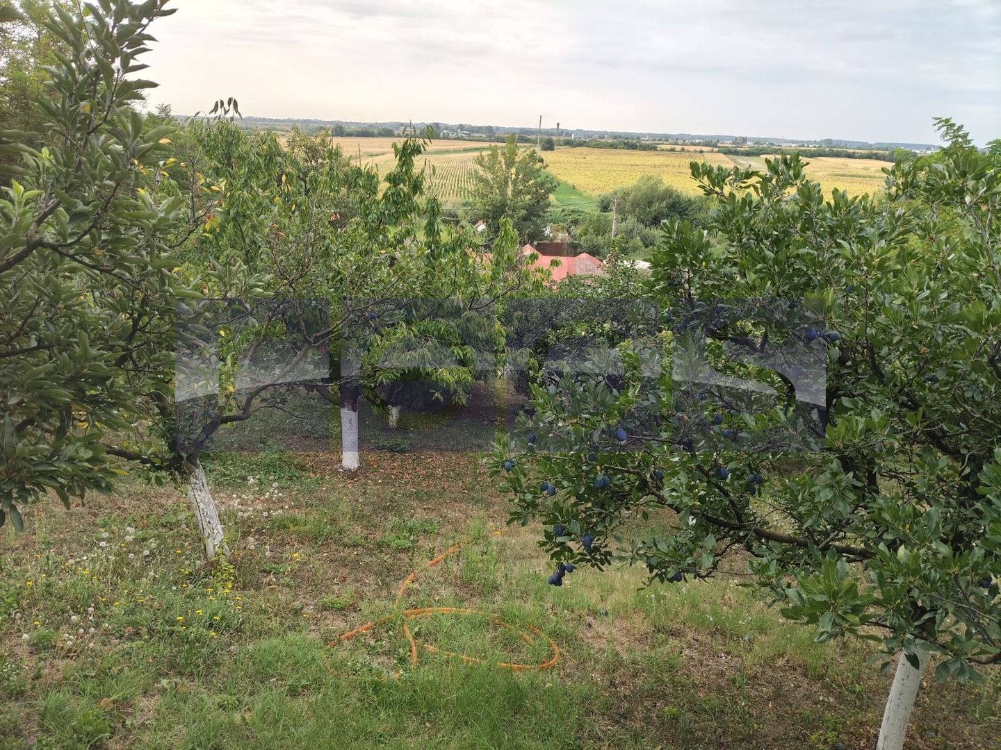 VANZARE CASA PARTER | CENTRALA PROPRIE | ZONA DRAGODANA - Poză 11