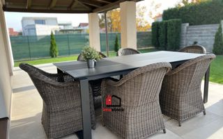 Vila superba Dumbravita - Poză 11