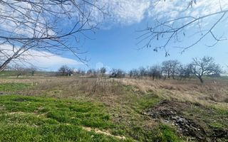 Casă cu 2 locuințe, teren intravilan 7062 mp Cetariu, Bihor - Poză 10