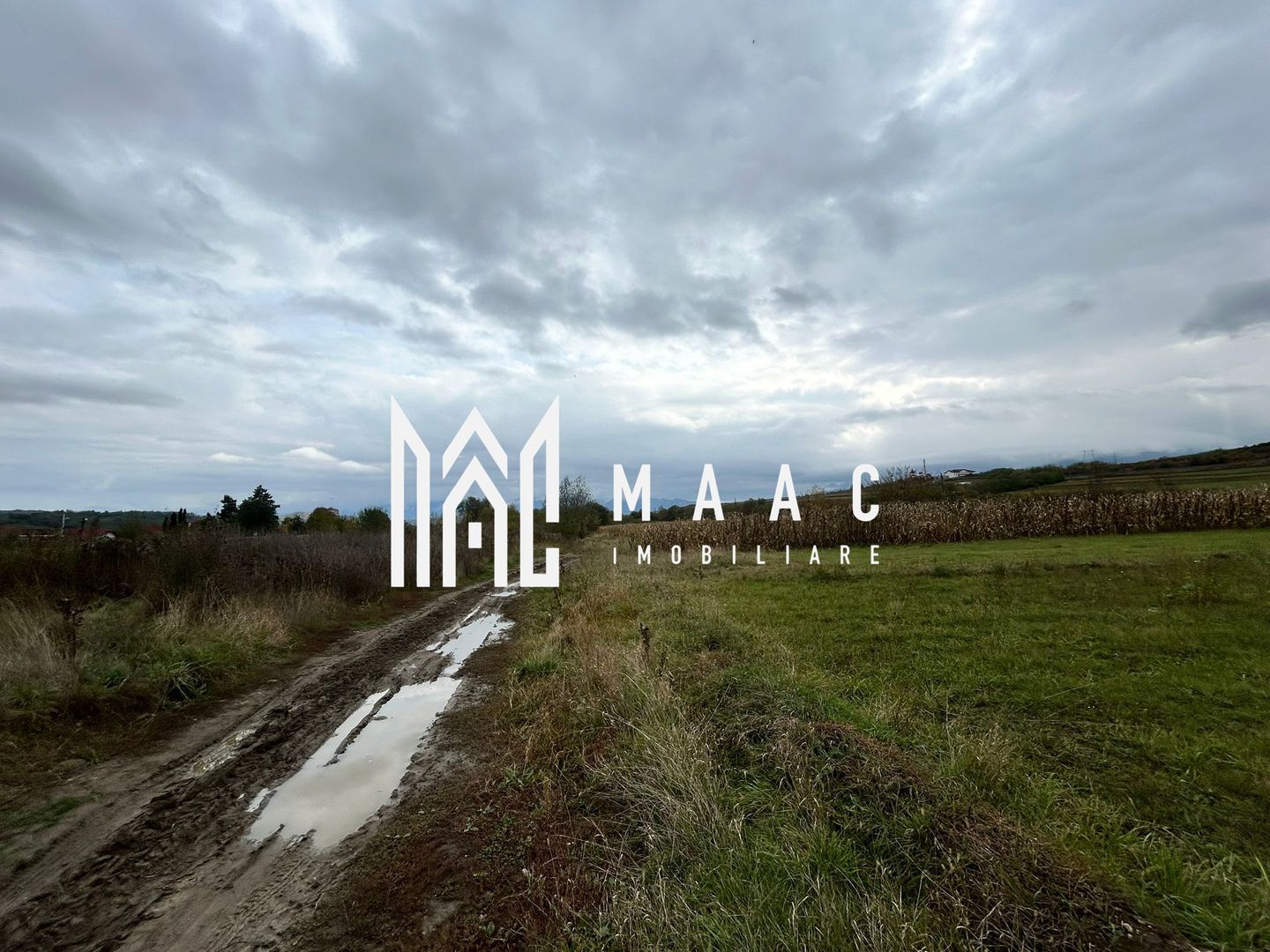 Teren | 3700 mp | Deschidere la DN | Intrare Vestem – Sibiu - Poză 3