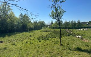Teren 1000MP | Tautii Magheraus | strada 58 - Poză 3