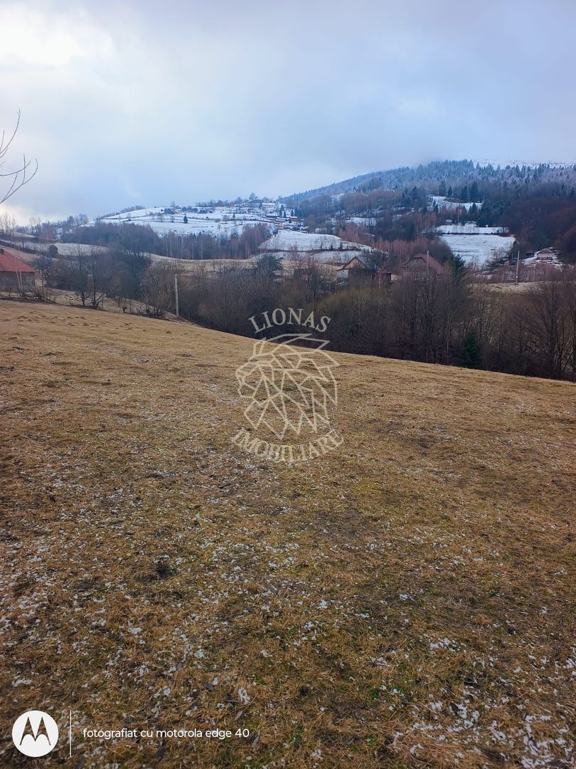 COMISION 0 TEREN TURISTIC EXTRAVILAN APROAPE DE PADURE VISAGU VLADEASA CLUJ - Poză 1