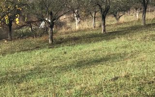 Teren intravilan parcelabil, cartier RAAL , 38 ari - Poză 7