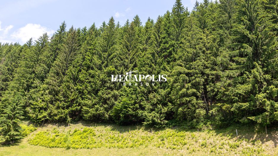 Pretabil Hotel,Pensiune,Case de Vacanta/Utilitati/PUZ - Poză 23