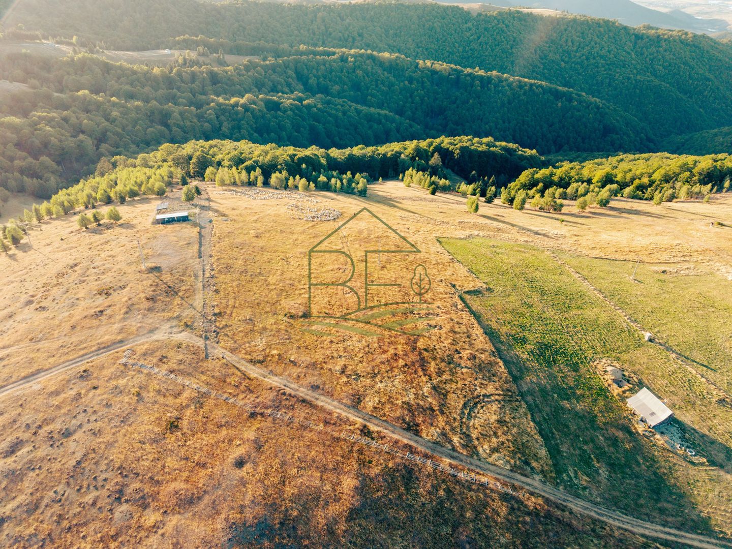 Păltiniș - Teren cu perspectivă panoramică pentru un refugiu în natură - Poză 4
