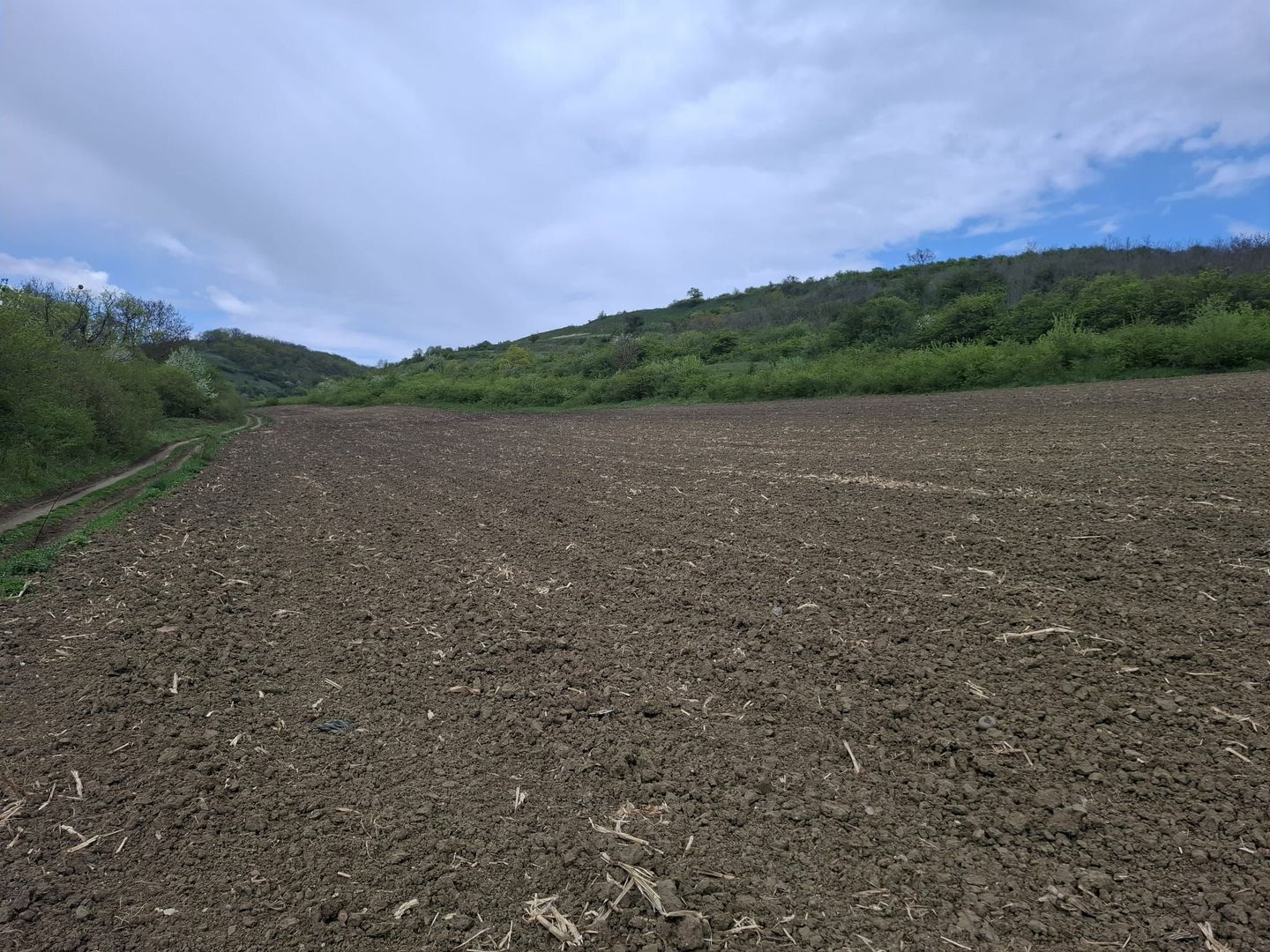 Teren extravilan arabil - Sibiu - Gusterland - Poză 1
