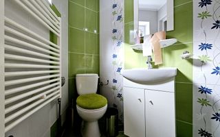 Casa de vacanta cu potential de Pensiune Turistica, Ramet - Poză 9