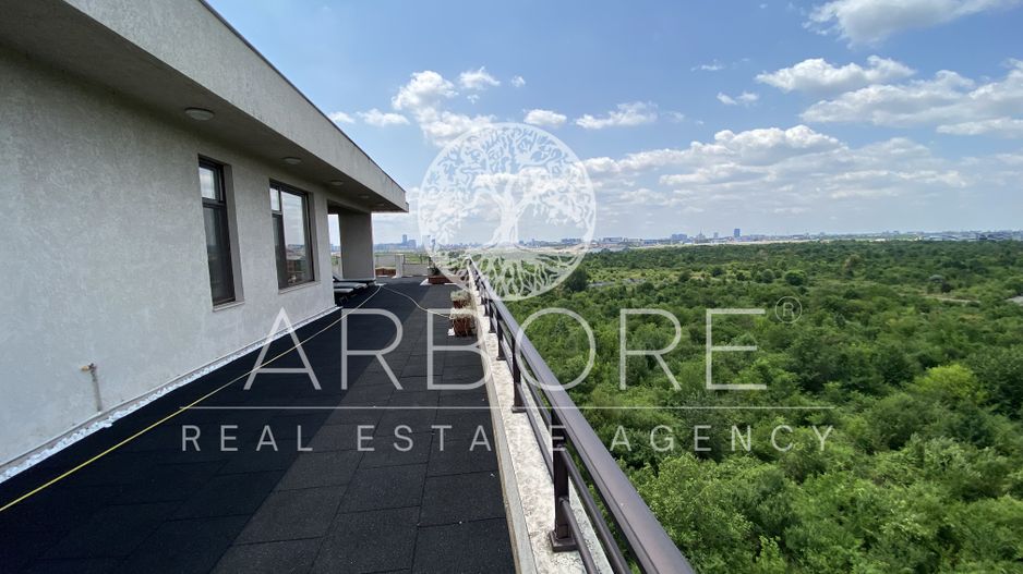 Penthouse 5 camere 250 mp lângă Ambasada SUA , zona Băneasa București - Poză 36