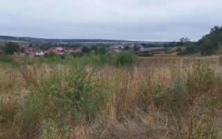 Teren extravilan de vânzare | Vestem | 400 mp | lățime 10 m - Poză 2
