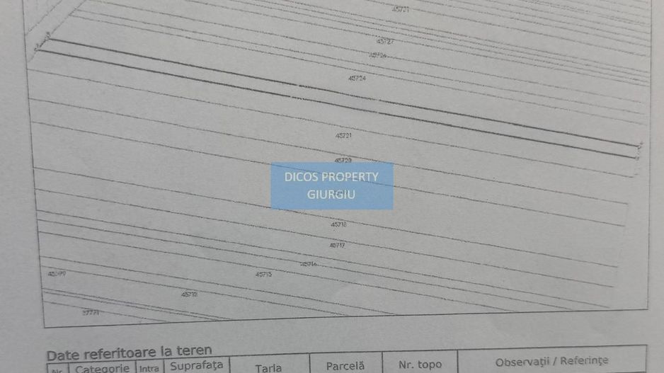 Teren extravilan 5000 mp – deschidere DN5 - Schiță 2