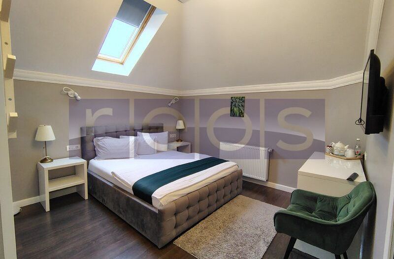 VILA EXCEPTIONALA PARCUL CAROL |  5 STUDIOURI | SPATIU HORECA FUNCTIONAL | - Poză 6