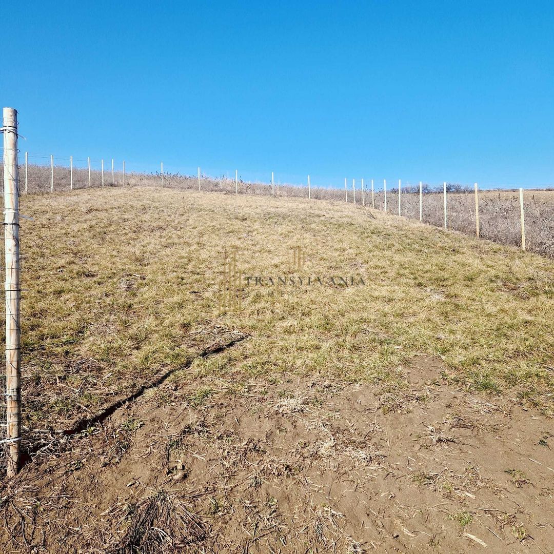 Teren cu priveliște superbă spre Sibiu și munți – Șura Mare - Poză 2