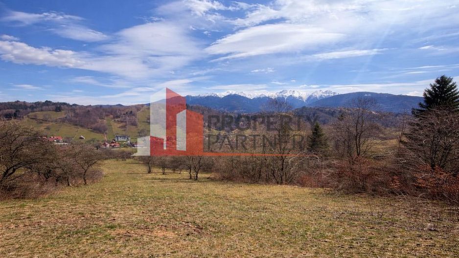 TEREN 11.500 MP + CASA AUTHENTICA ÎN BRAN – ȘIMON | VEDERE BUCEGI - Poză 6