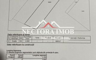 NECTORA IMOB-Teren Intravilan 1000 mp cu front 14,7 ml, Zona. Gh. Doja - Poză 3