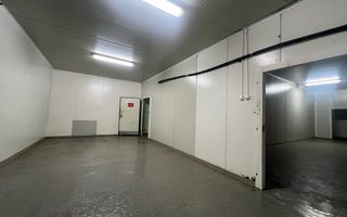 De inchiriat Camere Frigo Congelare/Refrigerare-Suprafete de la 50mp - Poză 6