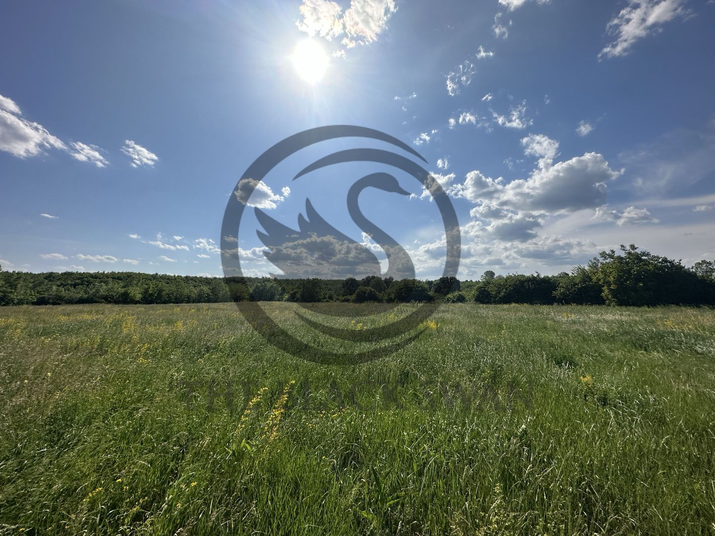 Teren Vanzare 11.000 MP Ghirdoveni | Comision 0% - Poză 9