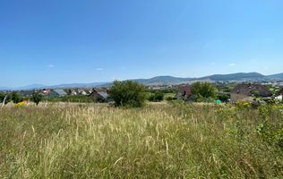 Teren intravilan 1300 mp-parcelabil-Viile cu Pomi-Unirea-Exclusiv