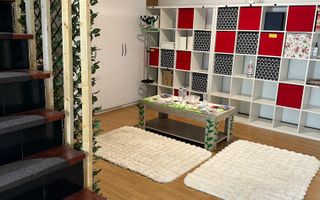 SPATIU COMERCIAL DOMENII, LOC PARCARE, CENTRALA, MOBILAT/UTILAT, CURTE - Poză 16