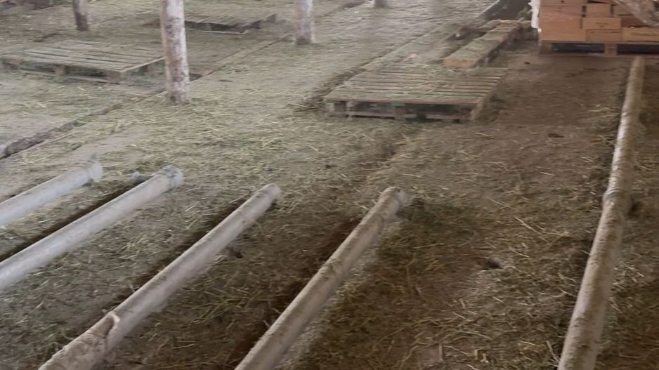 Teren intravilan 40.000 mp + hală 310 mp – Ivești, Galați - Poză 2