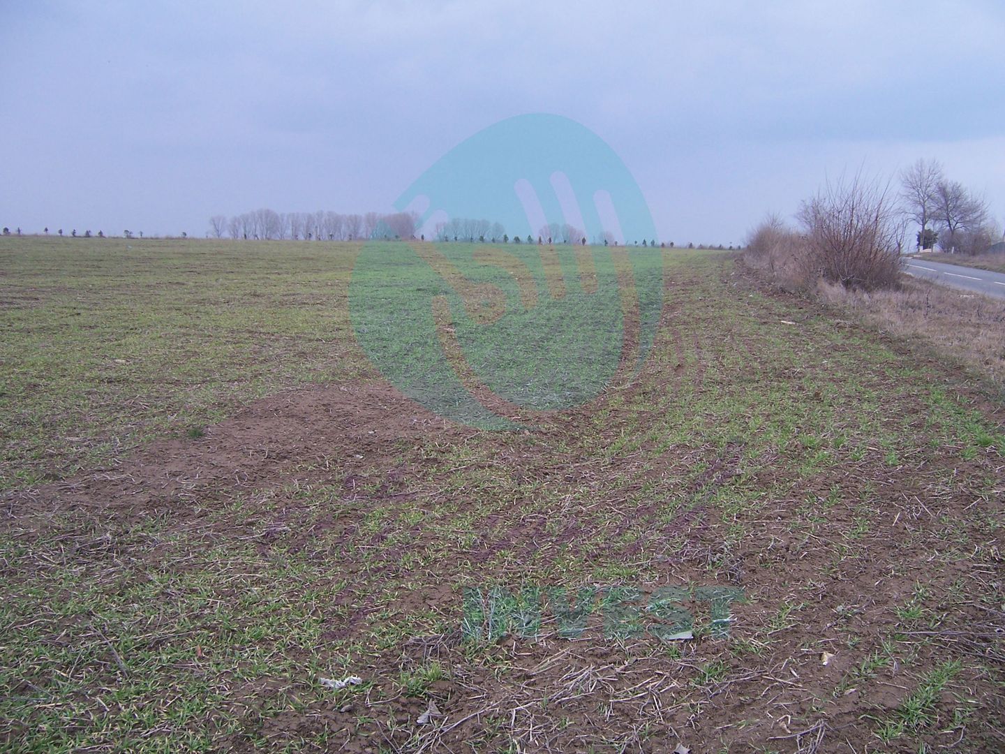 Teren constructii intravilan de 1000 mp, Venus - Poză 1