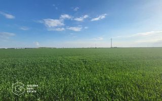 Teren arabil 10.000 mp, Calea Sagului DN 59 - Poză 1