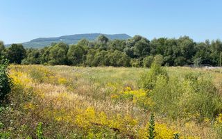 Teren 4100 mp - oportunitate investitie - Bistrita Zona Ranahum - Poză 1