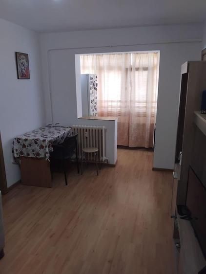 Apartament 2 camere- Craiovita Noua, Orizont - Poză 2