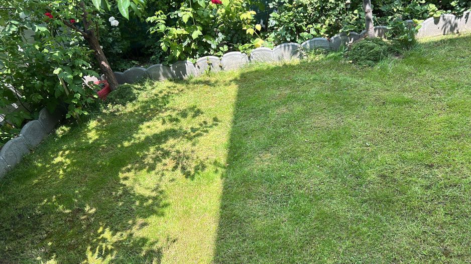 Vilă 4 camere | Tunari | De Vânzare - Poză 11