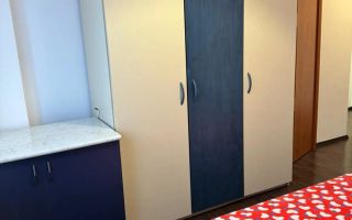 PET FRIENDLY apart 2 camere, 13 Septembrie/Drumul Sarii/Prosper - Poză 7