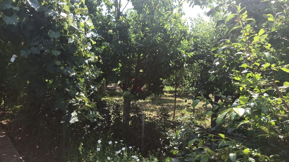 vila indiv+1198mp teren/pe DN4(sosBucuresti) in Frumusani/jud.Calarasi - Poză 60