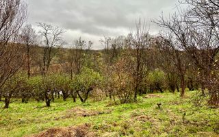 Casa de vanzare  in Talmacel-Teren 4000 mp cu livada+garaj - Poză 16