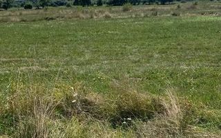 Teren de vânzare | Șura Mare - Poză 1