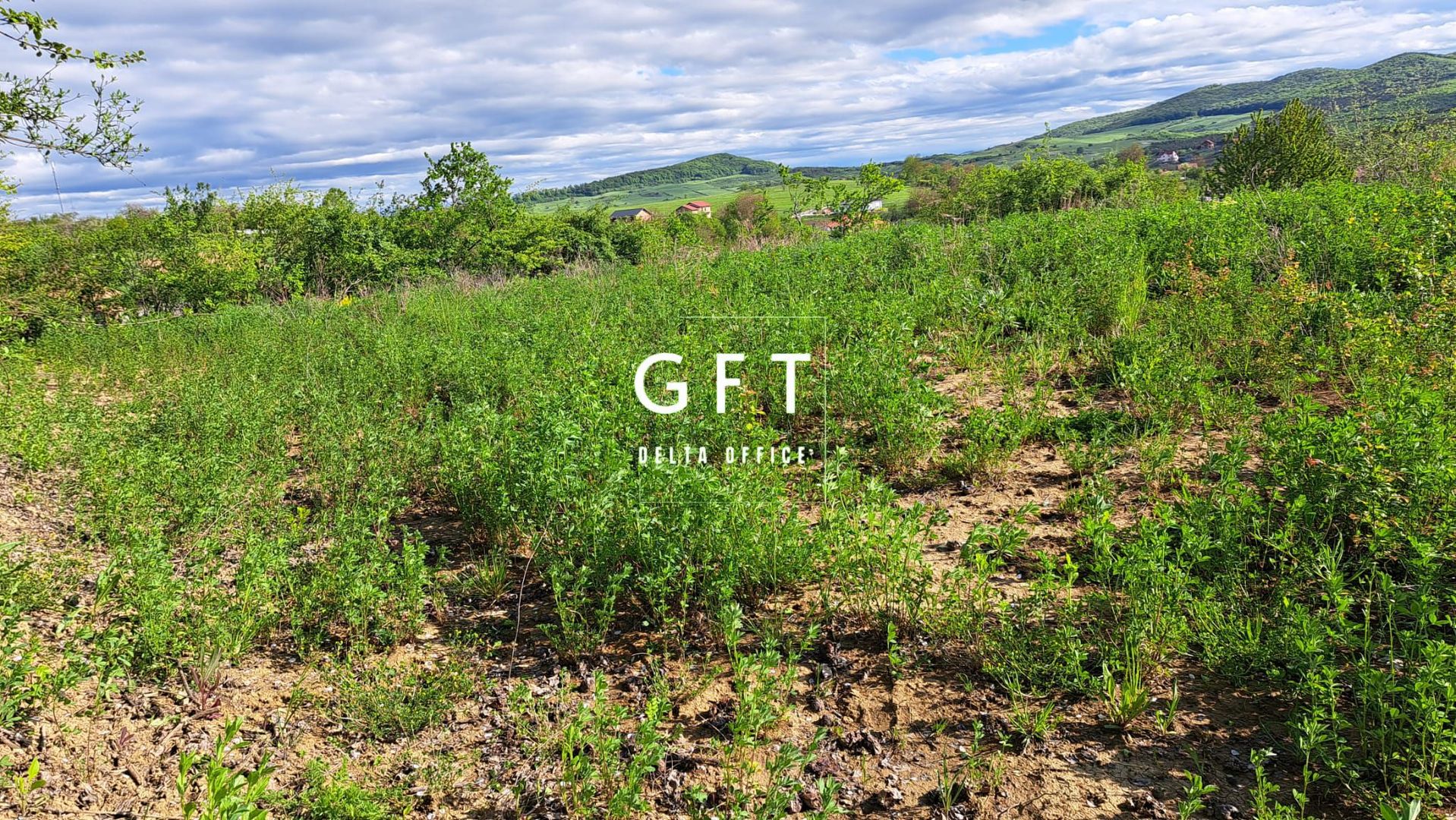 Teren intravilan parcelabil, zona Sigmir - Poză 24