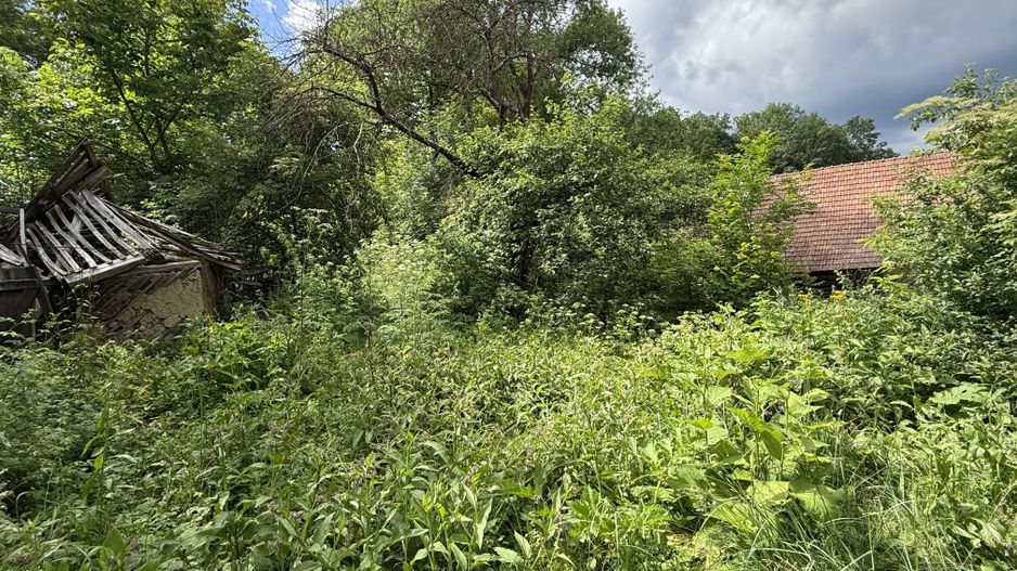 Teren intravilan 683 mp deschidere la strada asfaltata ! - Poză 17
