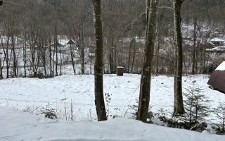 Teren de 3275 mp cu căbănuță în Tarcău, județul Neamț – zonă montană - Poză 6