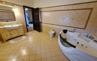 Poziție de top în Dumbravita - Poză 31