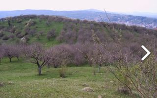 TEREN INTRAVILAN 4030 MP, INTRAVILAN, CAMPULUNG - Poză 1