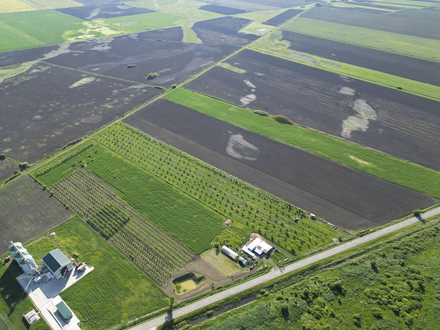 Livadă de nuci și pruni 2.4ha în Variașul Mare - Poză 5