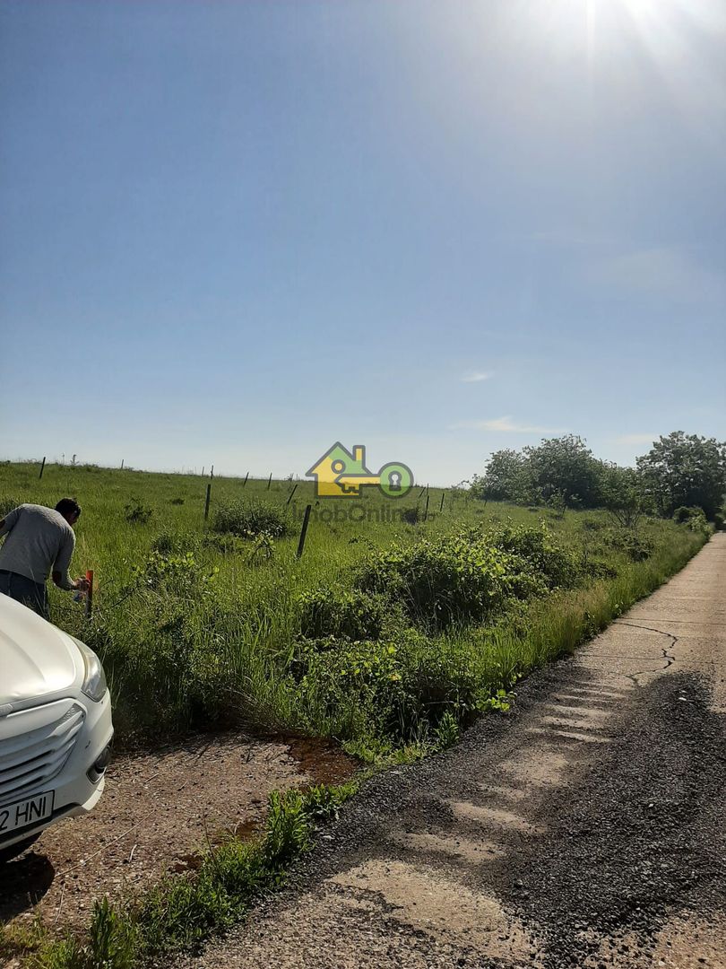 Teren Extravilan, Dealu Viilor, Lugoj - Poză 1