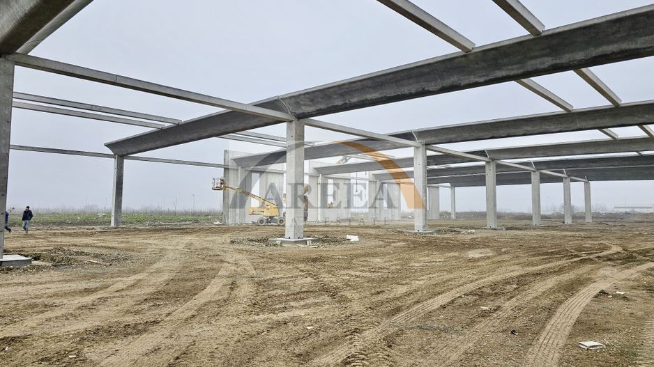 Vanzare hale/depozite/productie -industrial-Chitila - Rudeni, ILFOV - Poză 25