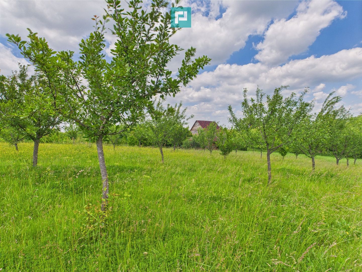 Teren cu baltă- oportunități multiple la Fibiș - Poză 36