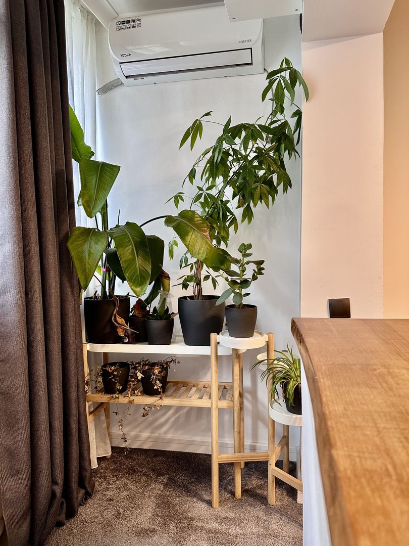 Apartament 3 camere, strada Turda 129 - Poză 6