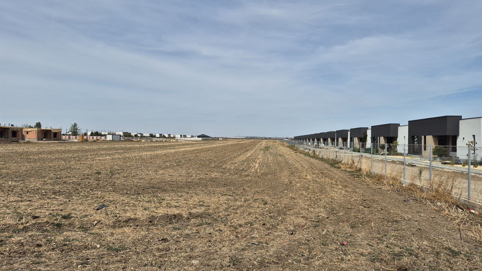 Teren intravilan 16.248 mp - Domnesti - Poză 1