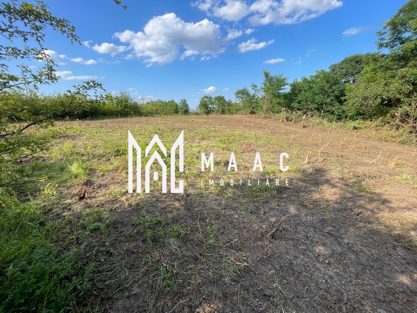 Oportunitate de Investiție Strategică | Teren Intravilan | Colonia Becas - Poză 1