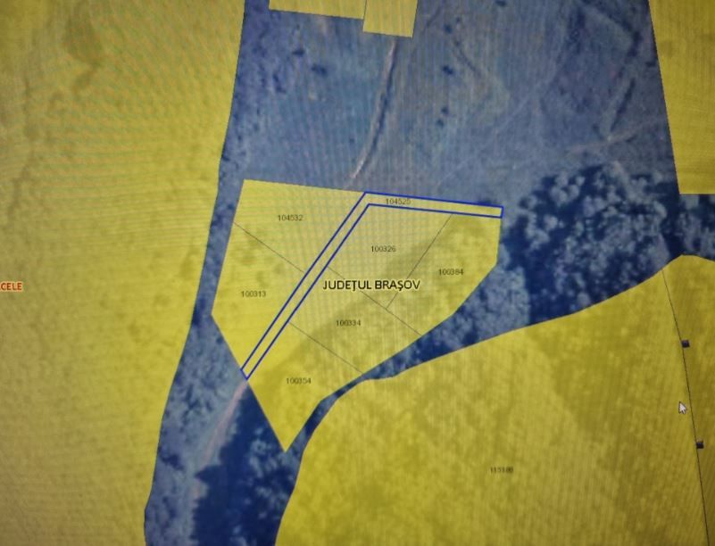 Teren Sacele - Poză 3