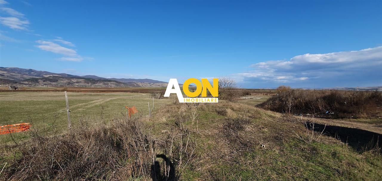 Teren industrial 44.200 mp, Vințu de Jos, Oportunitate de investitie - Poză 2