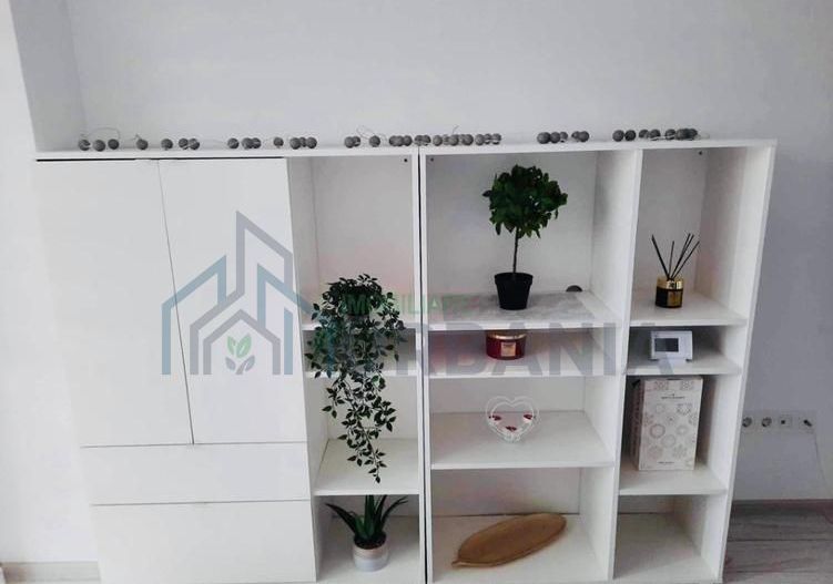 Apartament open space de închiriat, 1 cameră, Iași - Poză 7