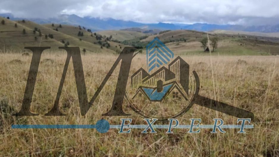 Teren extravilan Transapuseana - Poză 4